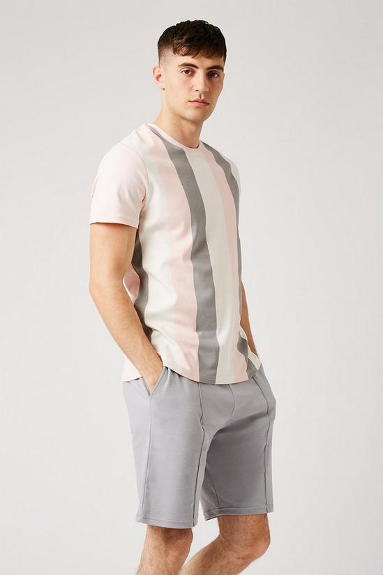 Burton Pink Vertical Stripe T-shirt 1
