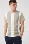 Burton Ecru Beige Grey Vertical Stripe T-shirt thumbnail 2