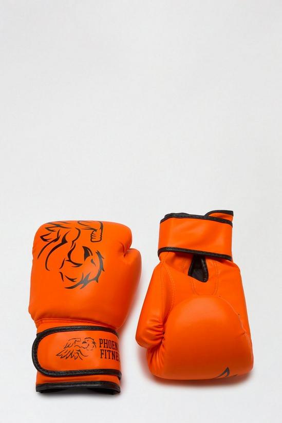 Burton Boxing Fight Gloves Punching Mitts 2