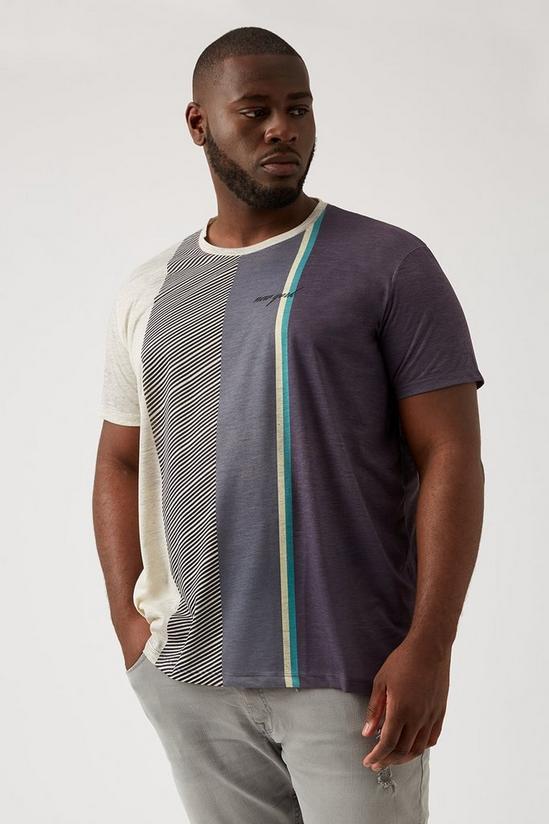 Burton Plus & Tall Blue Vertical Stripe T-shirt 1