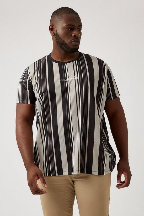 Burton Plus And Tall Amsterdam Vertical Stripe T Shirt 1