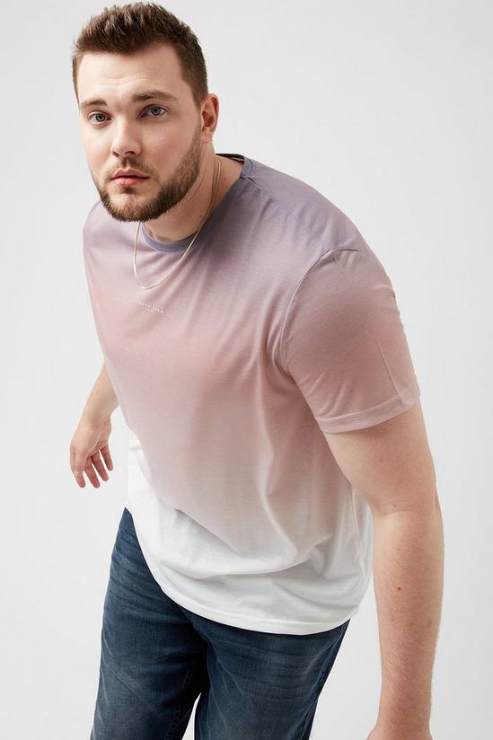Burton Plus and Tall Pink Carpe Diem Fade T-shirt 1