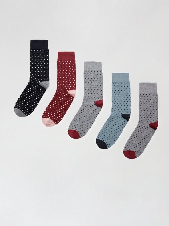 Burton 5 Pack Grey Coloured Dots Socks 1