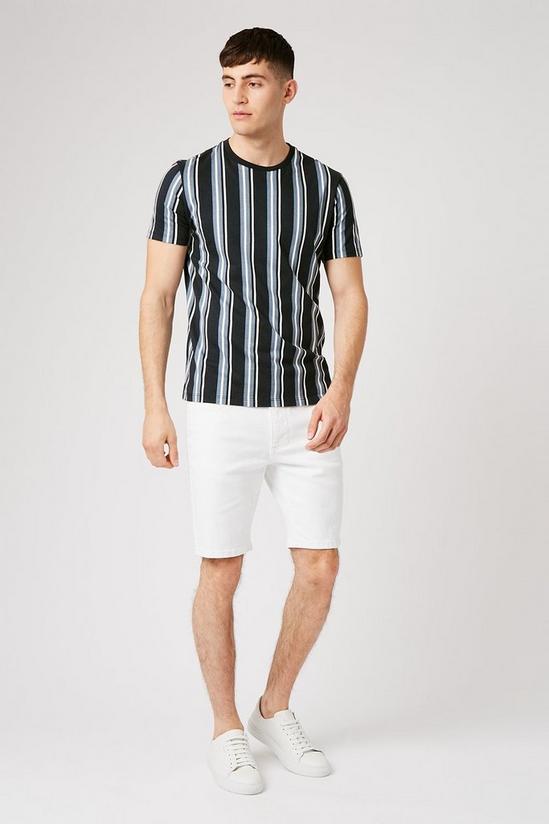 Burton Vertical Stripe T-shirts 2