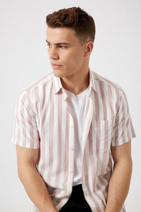 Burton Smart Rose Viscose Stripe Shirt 4