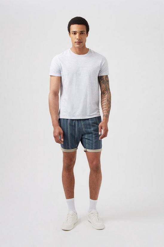 Burton Stripe Chino Shorts 1