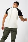 Burton Regular Fit Short Sleeve Raglan T-Shirt thumbnail 3
