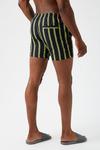 Burton Stripe Swim Shorts thumbnail 3