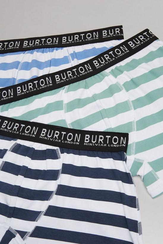 Burton Feeder Stripe Trunks 3