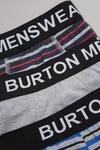 Burton Plus Varied Stripe Trunks thumbnail 2