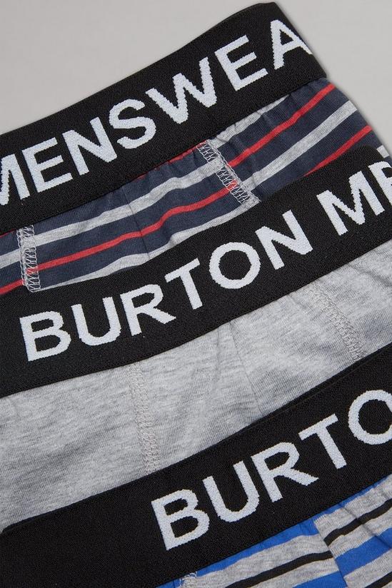 Burton Plus Varied Stripe Trunks 2