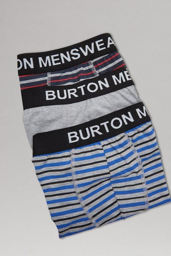 Burton Plus Varied Stripe Trunks 3