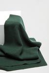 Burton 1904 Green Wool Blend Scarf With Cashmere thumbnail 4