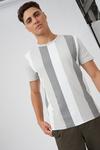 Burton Grey Vertical Stripe T-shirt thumbnail 1
