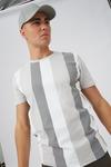 Burton Grey Vertical Stripe T-shirt thumbnail 4