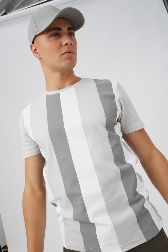 Burton Grey Vertical Stripe T-shirt 4