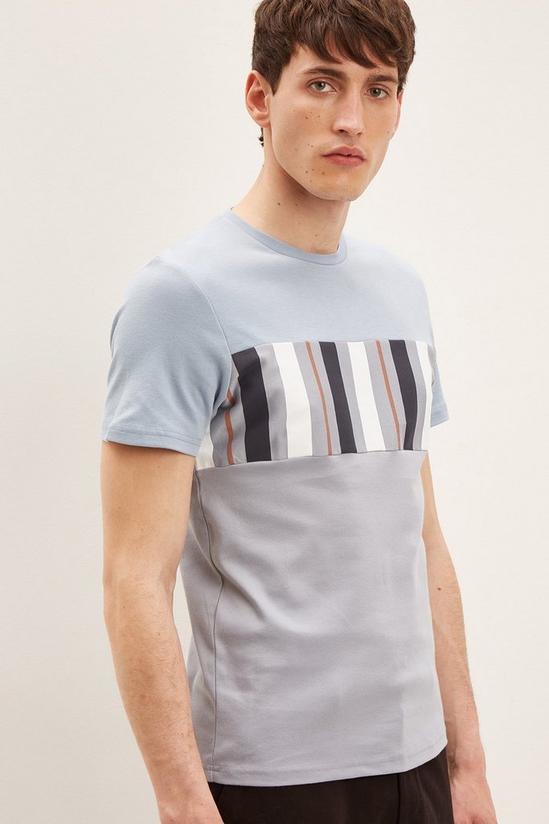 Burton Slim Fit Stripe Colour block T-shirt 1