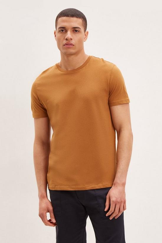 Burton Regular Fit Rust T-Shirt 1