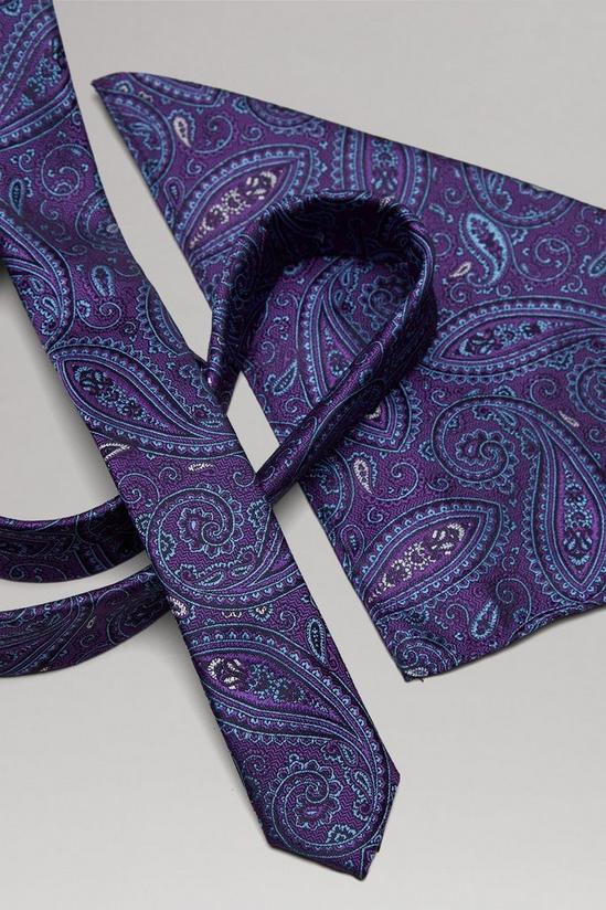 Burton Purple And Blue Paisley Skinny Tie Set 2