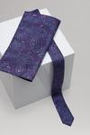 Burton Purple And Blue Paisley Skinny Tie Set thumbnail 3