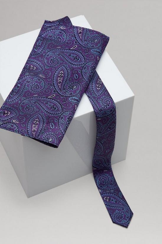 Burton Purple And Blue Paisley Skinny Tie Set 3
