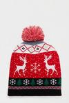 Burton Christmas Reindeer Bobble Hat thumbnail 1
