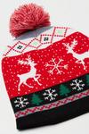 Burton Christmas Reindeer Bobble Hat thumbnail 3