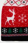 Burton Christmas Reindeer Bobble Hat thumbnail 4