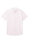 Burton Pink Short Sleeve Oxford Shirt thumbnail 4