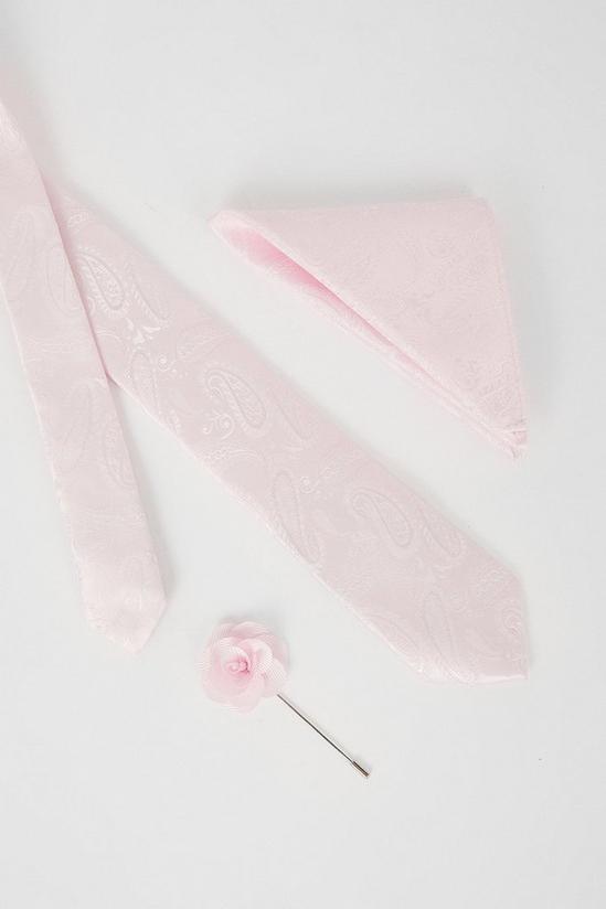 Burton Baby Pink Wedding Paisley Tie Set With Lapel Pin 3