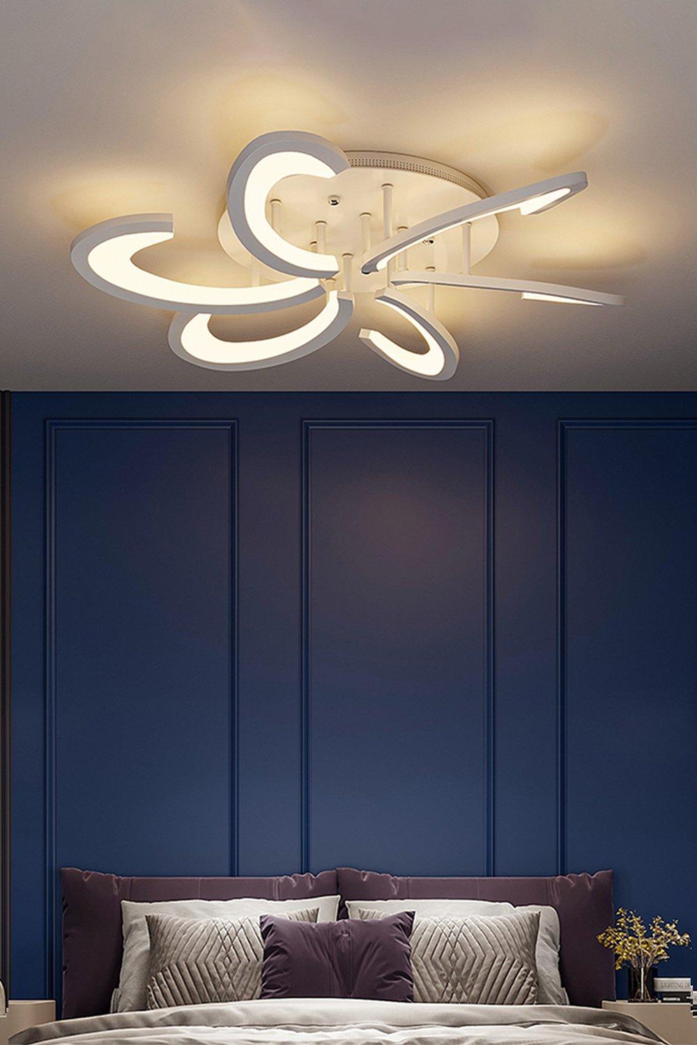 Special Design LED Ceiling Light