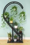 Living and Home Curved 4-Tier Plant Stand Bonsai Display Shelf thumbnail 1