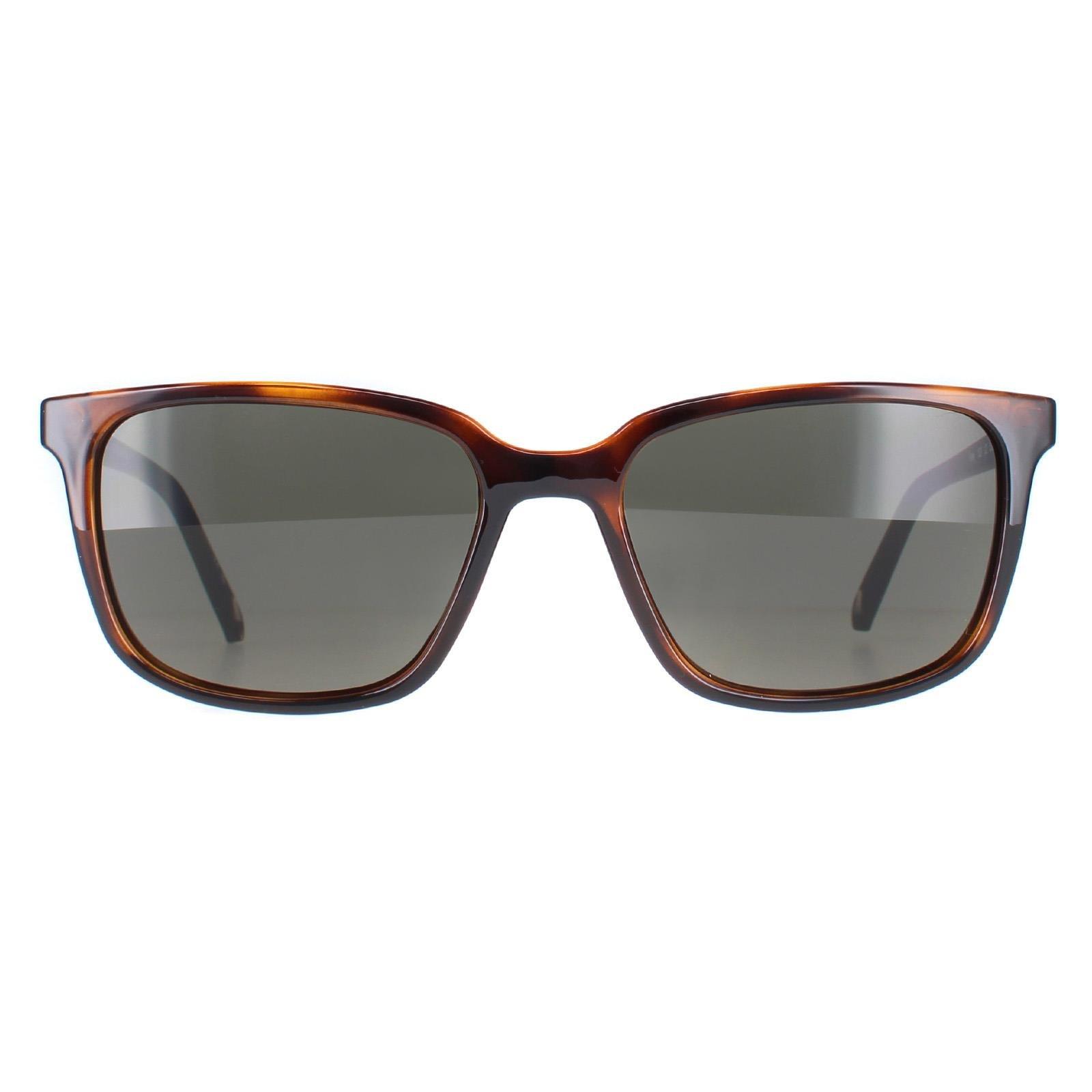 Sunglasses Rectangle Brown Green TB1529 Farley Ted Baker